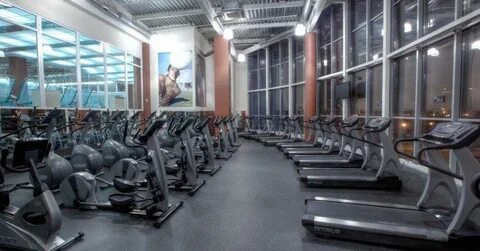Спортлайф ул савушкина 141 фото