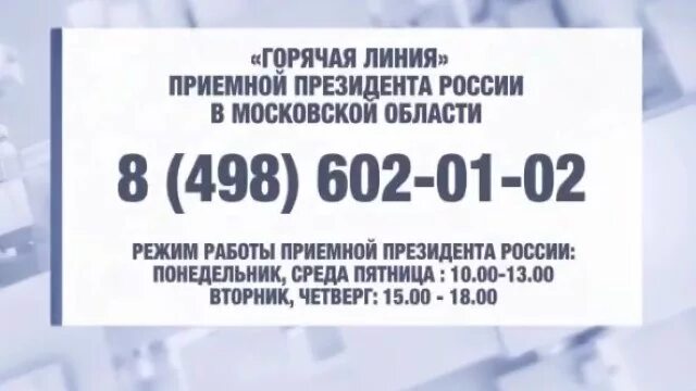 номер телефона президента россии. номер путина. номер горячей линии с президентом путиным. номер телефона путина. номер телефона путина горячая линия.