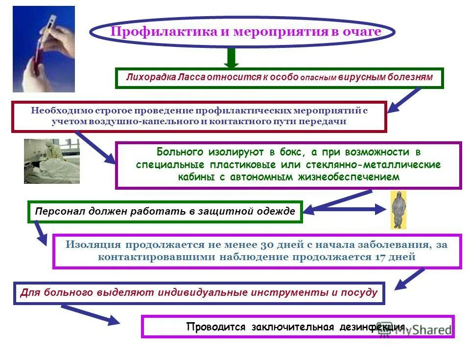 ку лихорадка вакцинация. лихорадка вопросы. степени гипертермии. бледная лихорадка и розовая лихорадка. бред от температуры у взрослого.