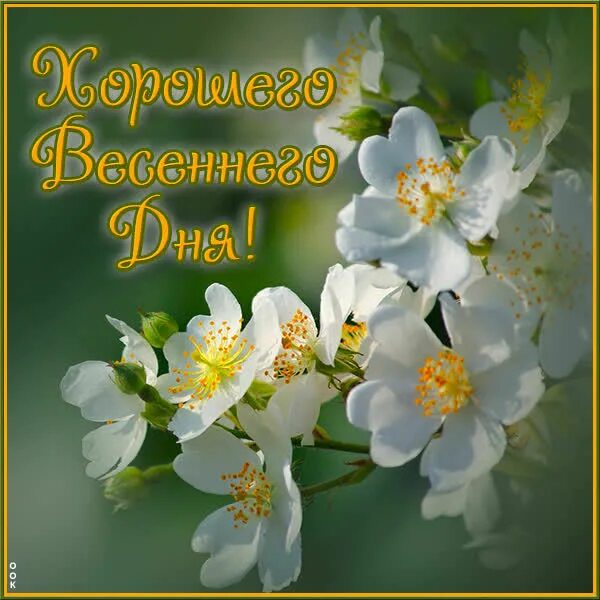 Открытка хорошего дня весенняя природа. Весенние открытки. Открытки весеннего настроения. Бабочка зимой. Природа весной.