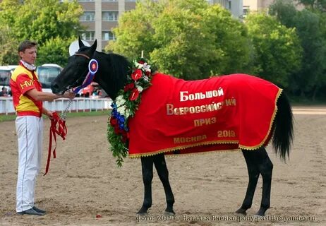 Дерби тамбов
