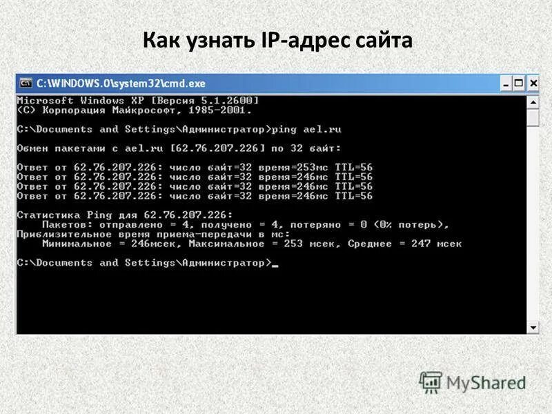 Cmd узнать домен. Cmd узнать домен