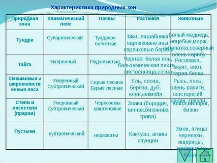 В какой природной зоне преобладают хвойные