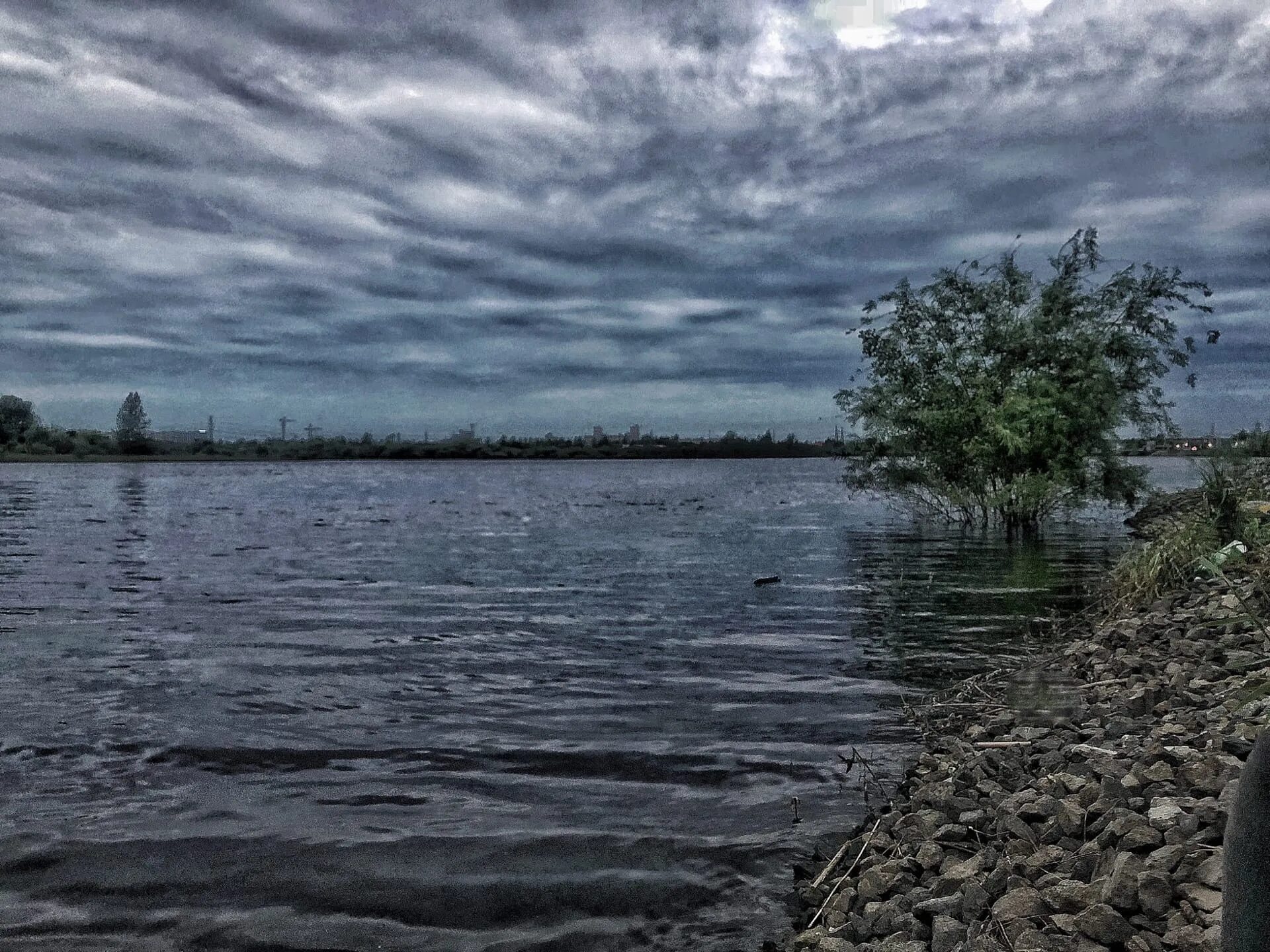 Погода в оброчном. Озеро Песьяное Тюмень. Озеро Оброчное Курганская. Озеро Песьяное Алтайский край. Лесобаза Тюмень озеро Оброчное.