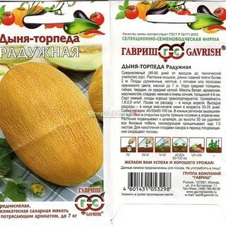 Дыня торпеда описание