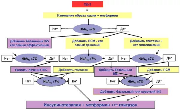 Алгоритмы сд 2022. Сахарный диабет 2 типа схема терапии. Сахарный диабет 2 типа схема. Схема лечения сахарного диабета 1 типа. Схема лечения сахарного диабета 2 типа.