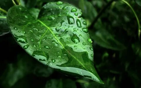 Leave water