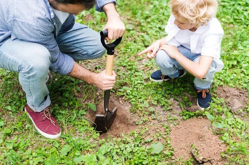 Digging holes. Лопата для копки саженцев. Мальчик копает землю. Копать лопатой. Копать землю лопатой.