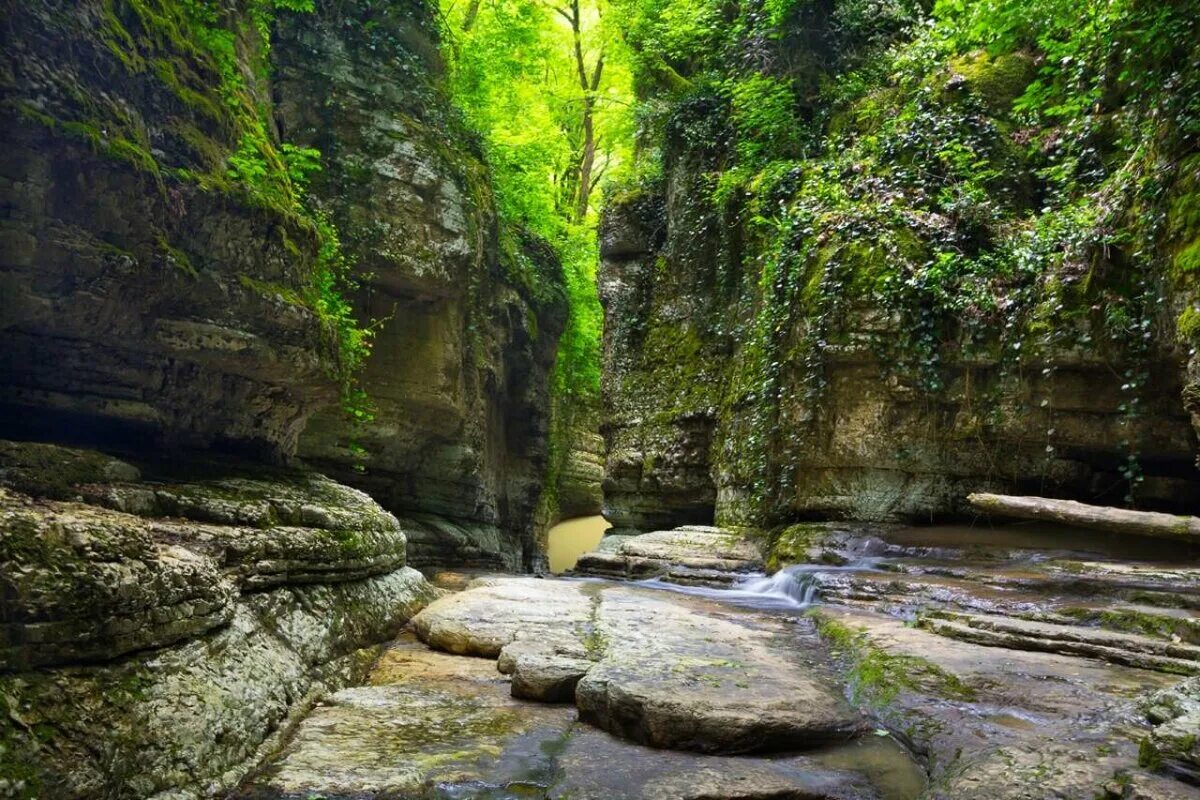 Агурские водопады краснодарский край. Агурский водопад Сочи. Агурское ущелье в Сочи. Национальный парк Агурские водопады.