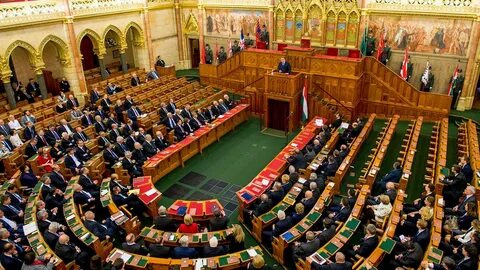 Избранное правительство