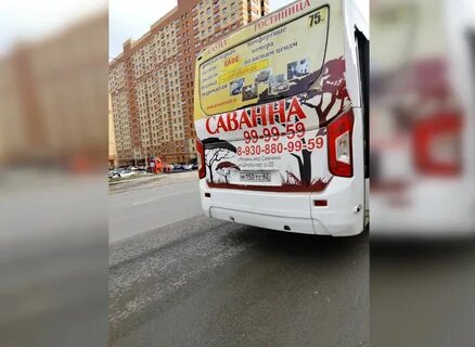 Автомобилистов 75