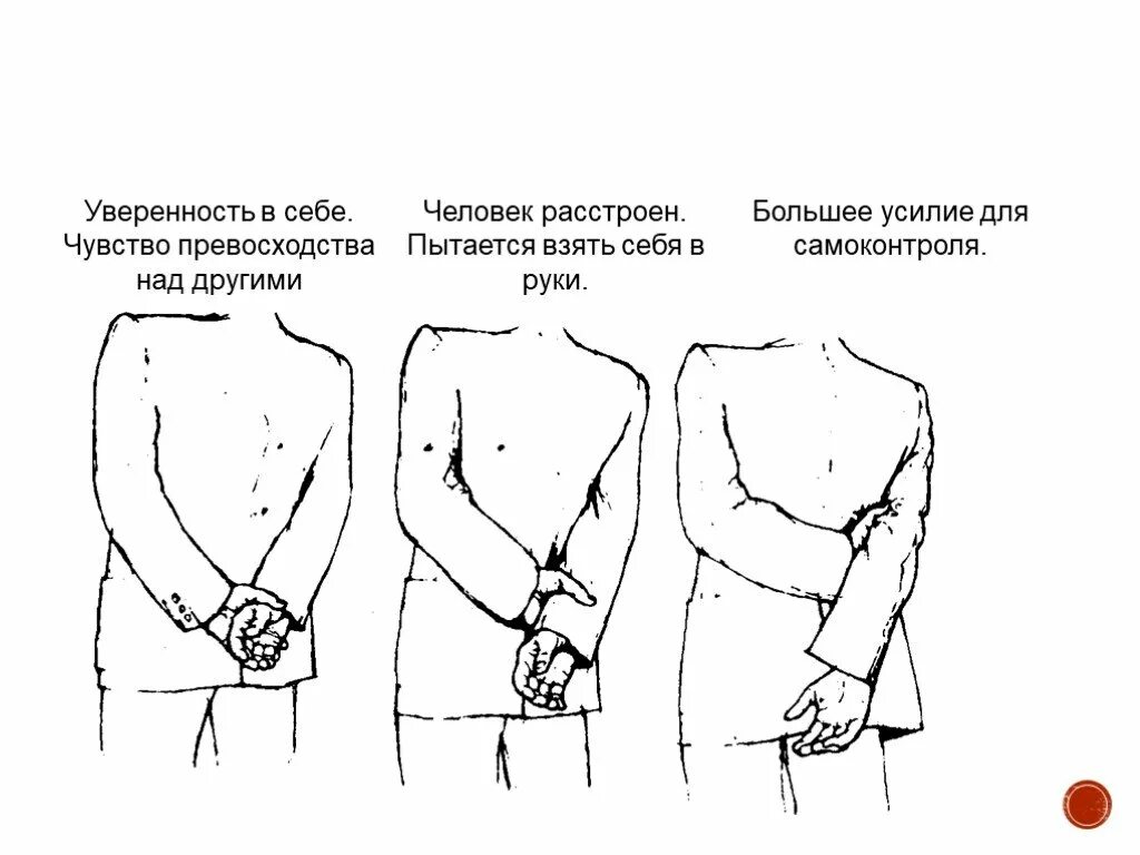 В каком положении лучше держать руки. Жесты уверенного в себе человека. Поза руки за спиной ю, ю. Язык телодвижений руки за спиной. Язык жестов руки за спиной.