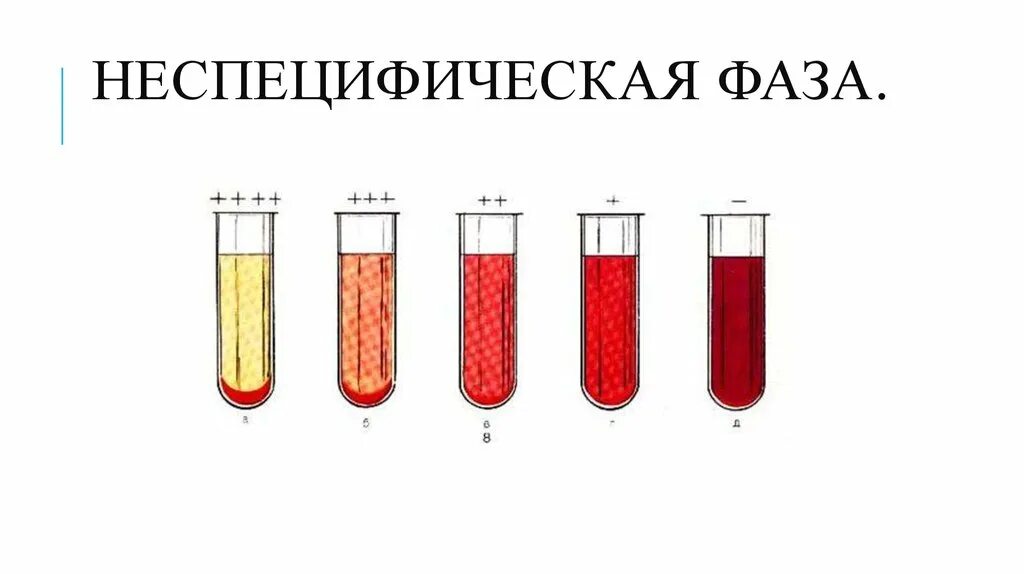Фаза реакций. Специфическая фаза серологической реакции. фазы серологических реакций схема. неспецифическая фаза серологической реакции. специфическая и неспецифическая фаза серологических реакций.