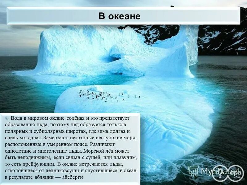 Теплота замерзания воды. Соленая вода океана. Замерзание океанических вод. Образование льдов в мировом океане.