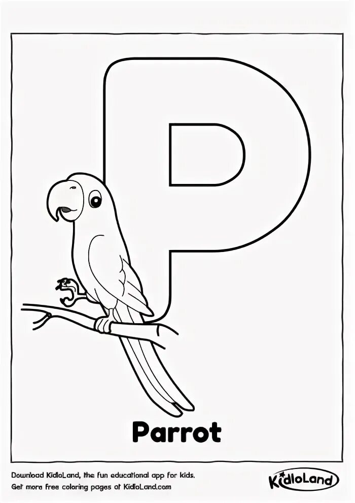 P is for. Letter p is for parrot. letter p flashcard. буква p в английском языке.