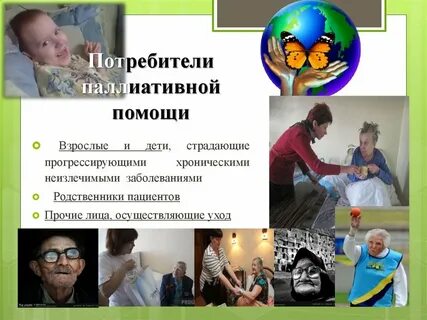 Статистика паллиативной помощи