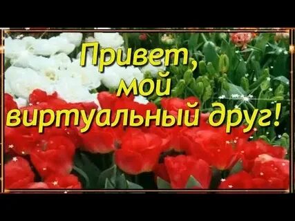 Вопросы виртуальному другу