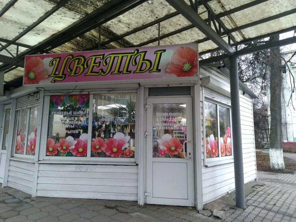 город цветов брянск клинцы. растения брянска. город цветов брянск. магазин цветочный 1 брянск. цветочные брянск бежица.