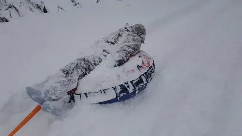 Боятся ли мороза