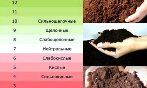 Какими веществами можно подкислить почву