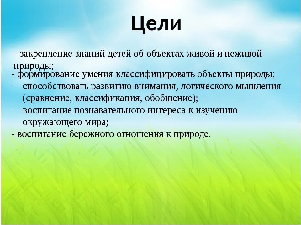 Аннотация младшей группы