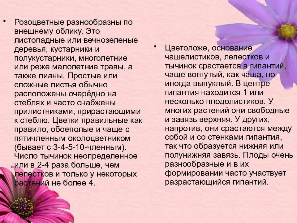 Семейство розоцветные описание. Характеристика семейства розоцветные. Характеристика семейства розоцветные таблица. Двудольные семейство розоцветные таблица. Семейство розоцветные общая характеристика.