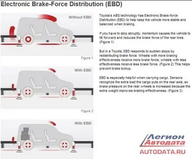 Ebd