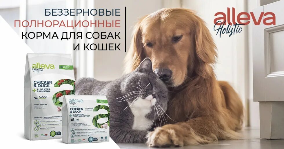 Аллева для собак мелких. Аллева корм для кошек. аллева корм для собак. alleva holistic корм реклама. алева холистик корм для собак.