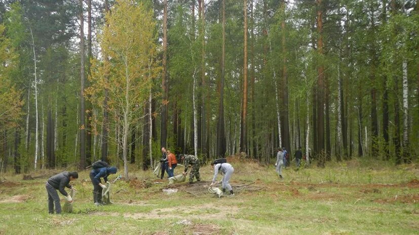 Охрана лесов в россии. Центр защиты леса Иркутской области. Охрана леса. Защита лесов. Защитные Лесные насаждения.