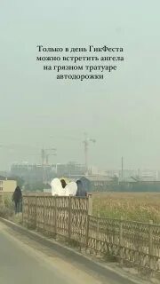Новости ангелов