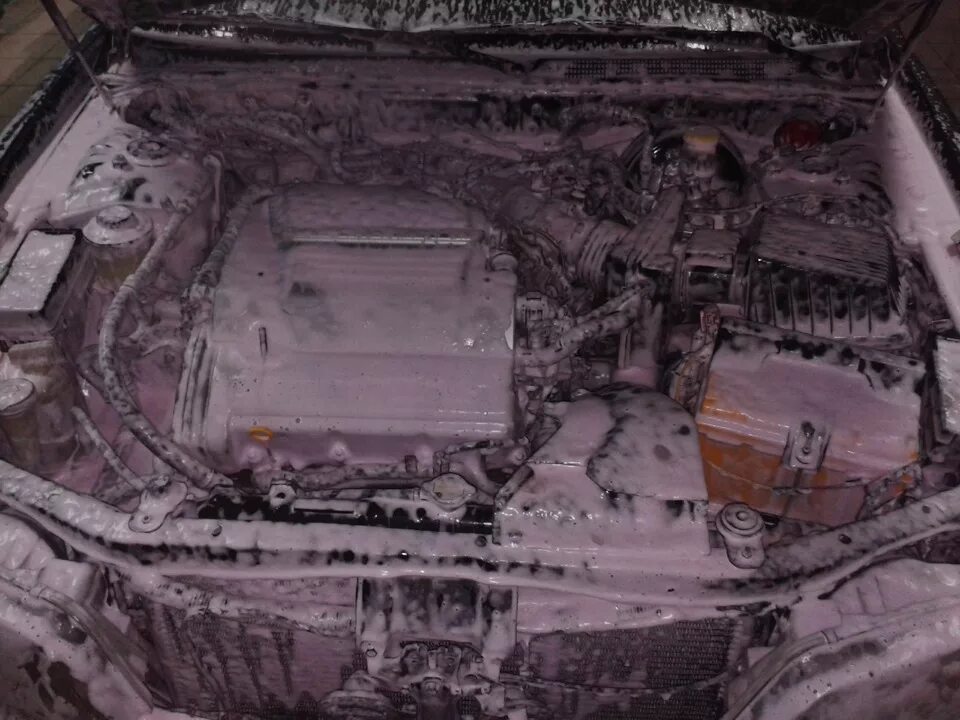 Мыть ли подкапотное пространство. Подкапотное пространство приус альфа. отмыть подкапотное пространство. можно ли мыть подкапотное пространство. моем подкапотное пространство своими руками.