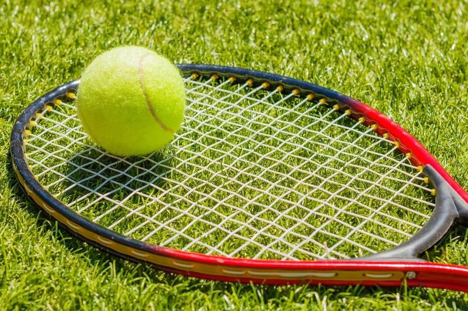 Sport is one of the most. Большой теннис. Ракетка теннисная. Ракетка на теннисном корте. Ракетка и мяч.