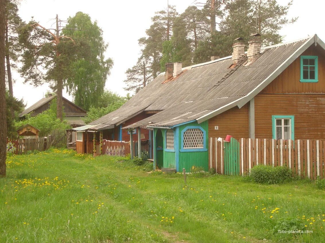 Хвойная деревня. Кабожа Новгородская область Хвойнинский. Кабожа (Хвойнинский район). Станция Кабожа Новгородская область Хвойнинский район. Деревня Кабожа Новгородская область.