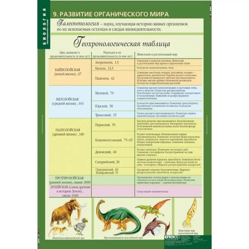 Черты усложнения организации