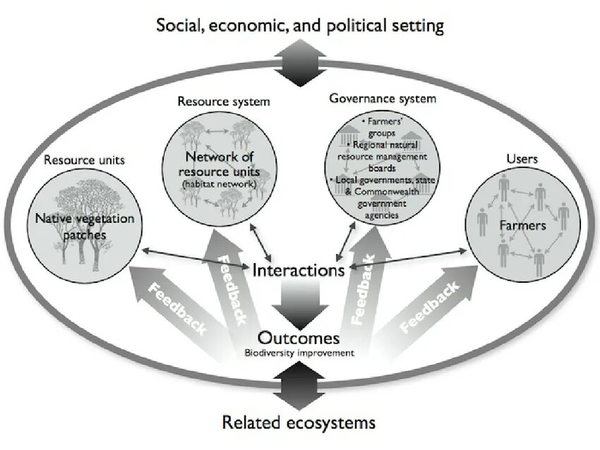 System society. Social and ecological Issues картинки. Системный анализ фото. Periodical System of ecological.