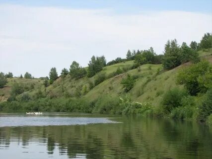 Борки тюменский