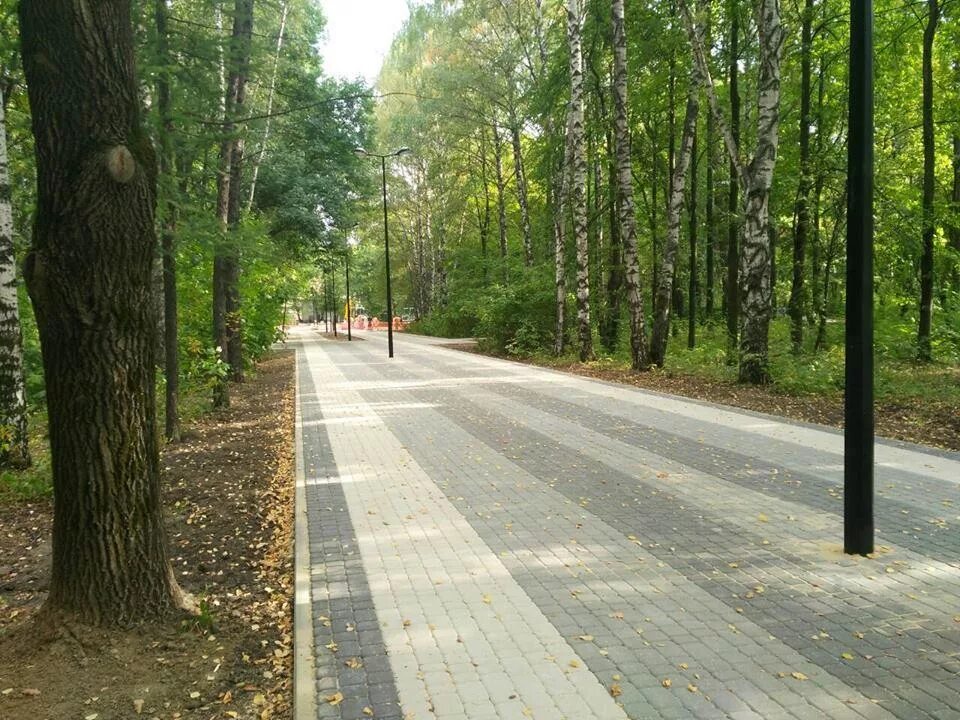 Парк дубки подольск. Загородный парк новокуйбышевск. Парк дубки самара. Парк дубки самара. Парк дубки самара.