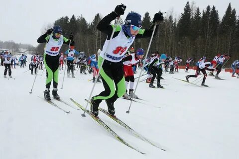 Березники лыжные