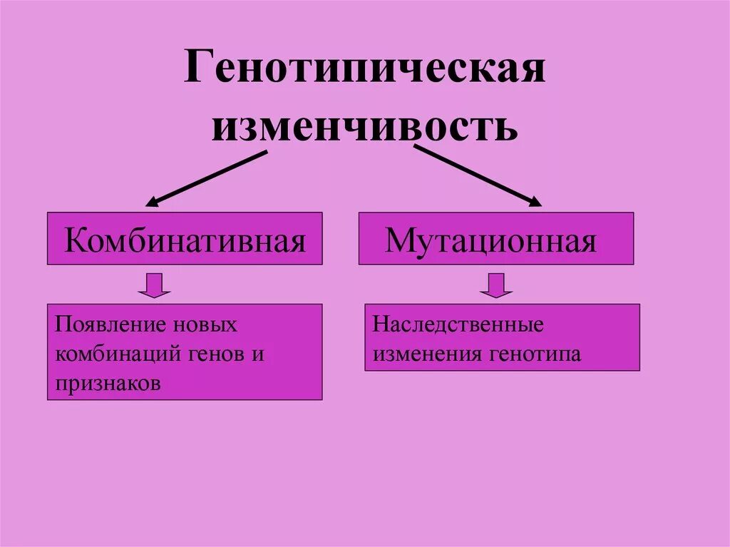 Типы генотипической изменчивости. Комбинативная и мутационная изменчивость. Характеристика генотипической изменчивости. Модификационная изменчивость и комбинативная изменчивость. Наследственная комбинативная и мутационная