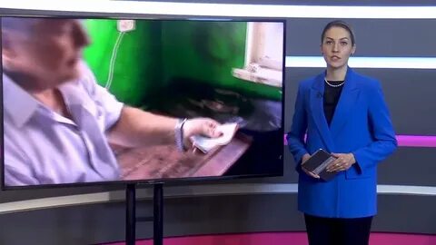Почему кустики напали на алису