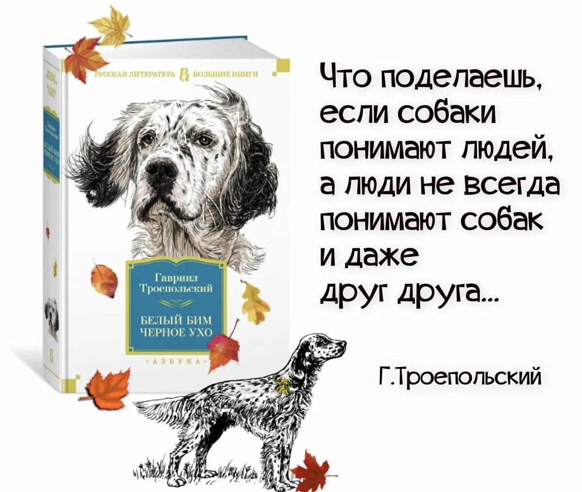 Белый бим черное ухо глава 1. Троепольский белый Бим черное ухо книга. Г Н Троепольский белый Бим черное ухо. Обложка книги белый Бим черное ухо.