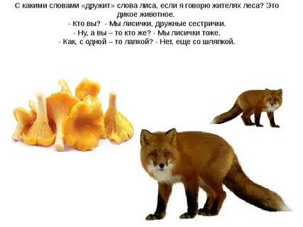 Есть ли слово лис