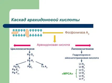 Кислоты воспаления
