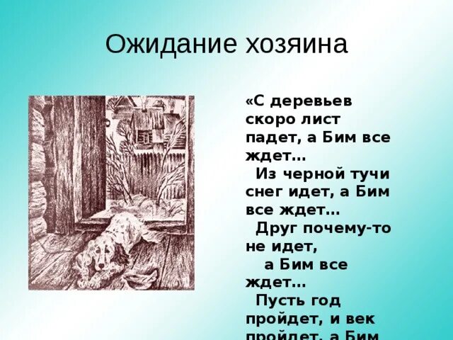 Почему сема жук ушел из бима. Денис никифоров бим. Андрей багиров бим. Денис никифоров бим нтв сериал. Бим сериал 2 сезон.