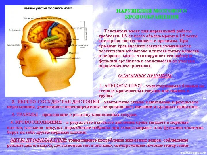 Заболевания нервной системы проект Воспаление лицевого нерва (невралгия, невропатия или парез): симптомы и лечение