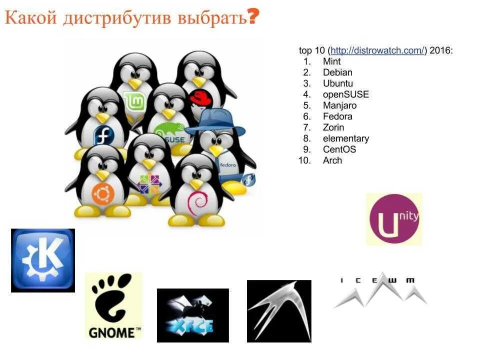 Gnu linux список дистрибутивов linux. Дистрибутивы linux. логотипы дистрибутивов linux. основные дистрибутивы линукс. популярные дистрибутивы linux.