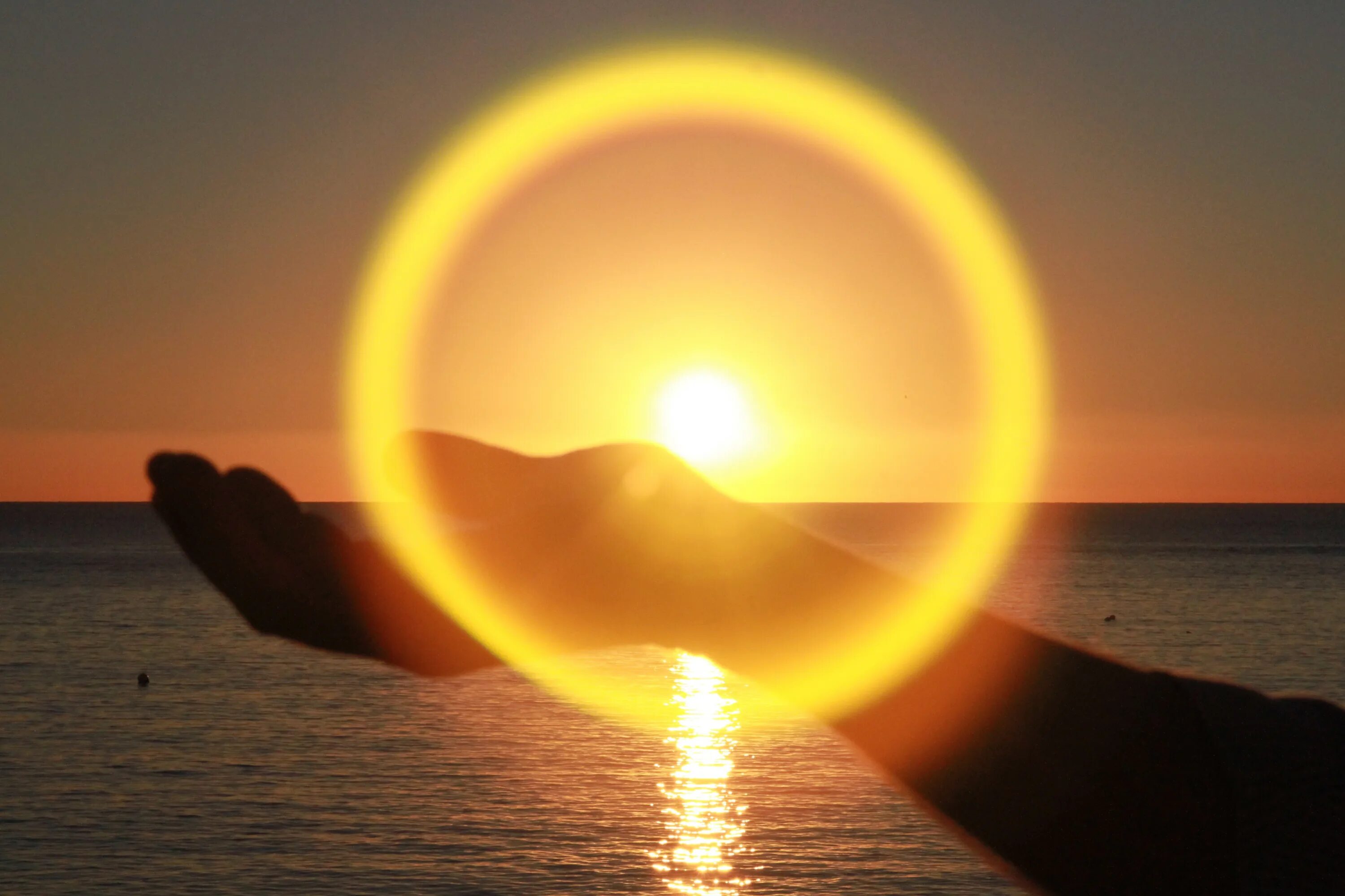 Sun while