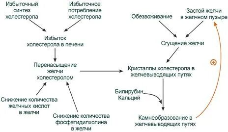 Сгущение желчи