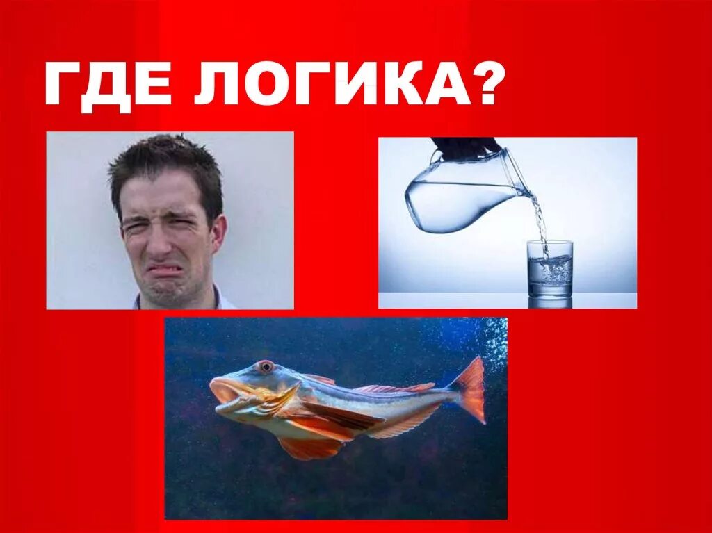 Найди общее д