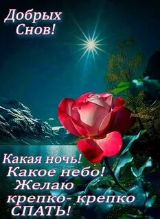 Ночь какая ночь добрый